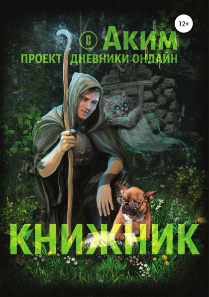 фото Книга книжник литрес