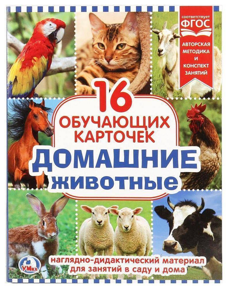 

Карточки обучающие УМКА Домашние животные 16 шт.