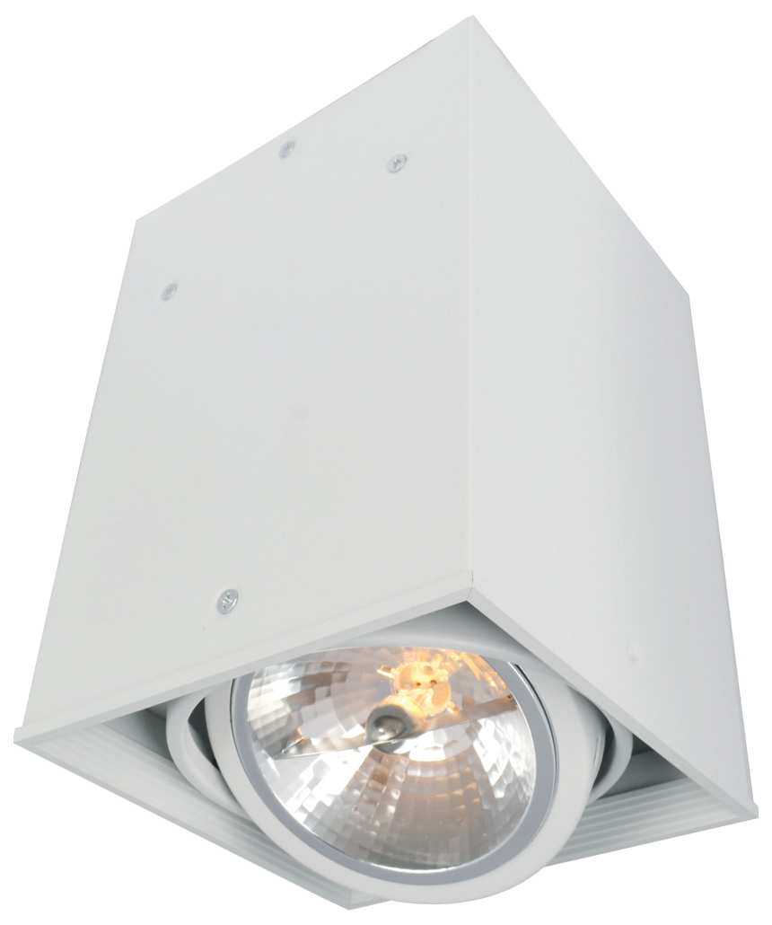 

Потолочный светильник Arte Lamp Cardani A5936PL-1WH, cardani A5936PL-1WH