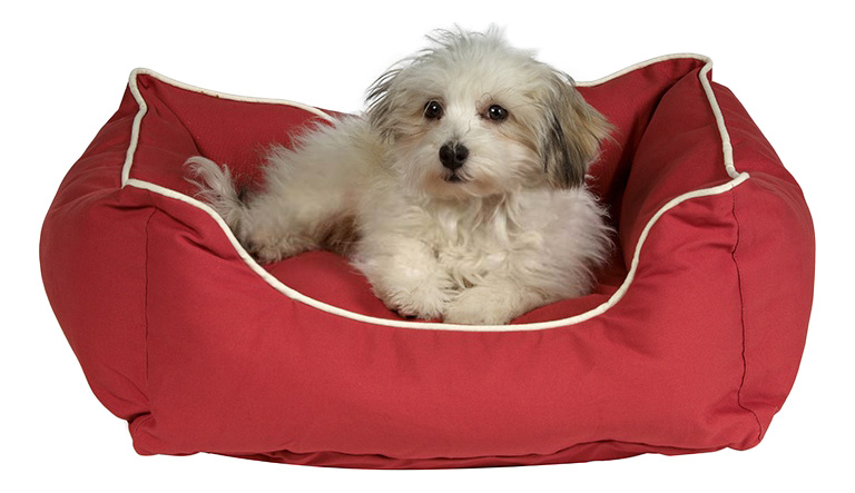 

Лежанка для собак Dog Gone Smart 60x65x красный, Лежак для животных 0125083012