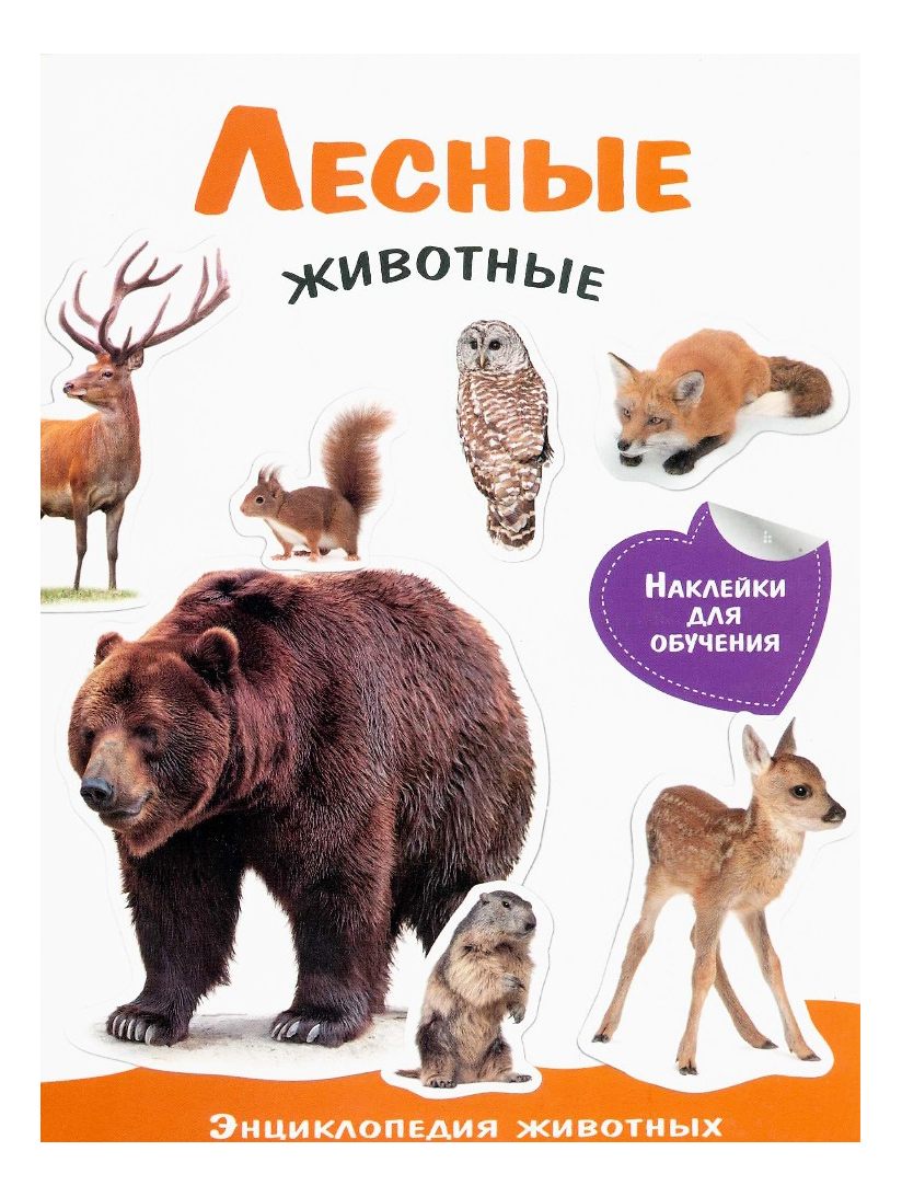 

Стрекоза Энциклопедия Животных С наклейками: лесные Животные, Лесные животные