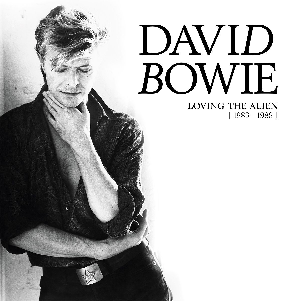 

David Bowie Loving The Alien (1983-1988)(11CD)