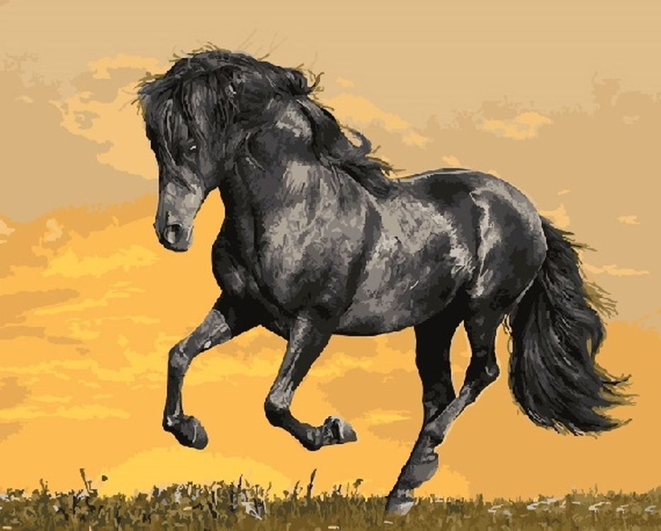 

Живопись по номерам Paintboy Чёрный конь 40x50, Чёрный конь