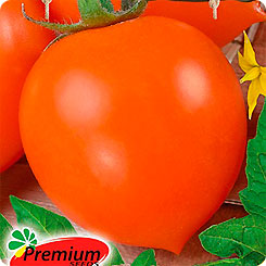 

Семена Томат Медовые купола F1, 0,05 г, Premium seeds, 219863