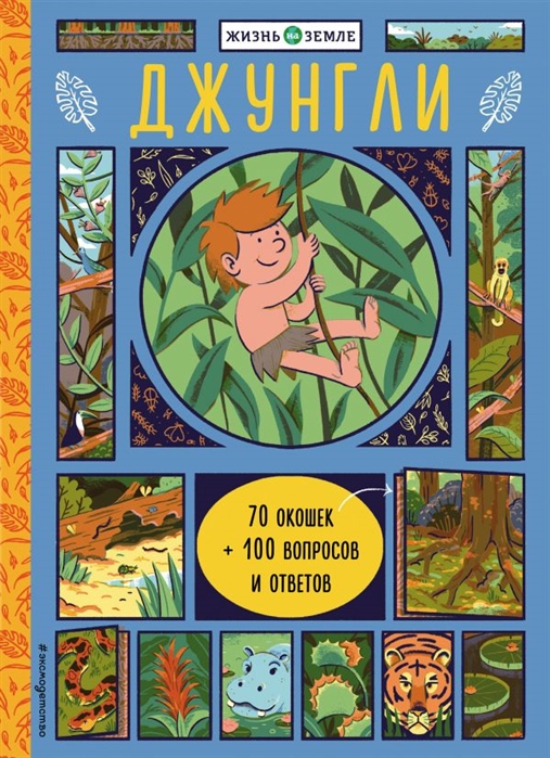 

Джунгли (С Окошками)