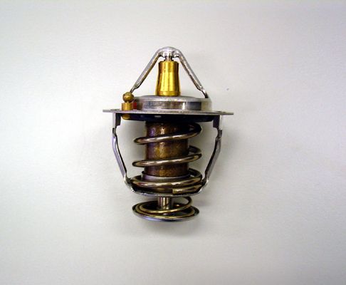 

Термостат WAHLER 410176.88D0
