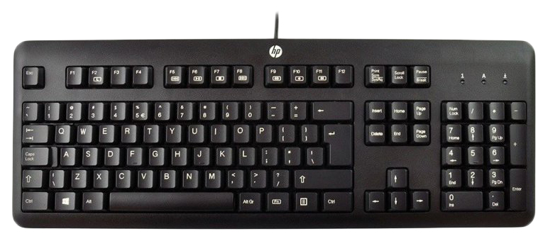 Проводная клавиатура HP QY776AA Black (QY776AA)