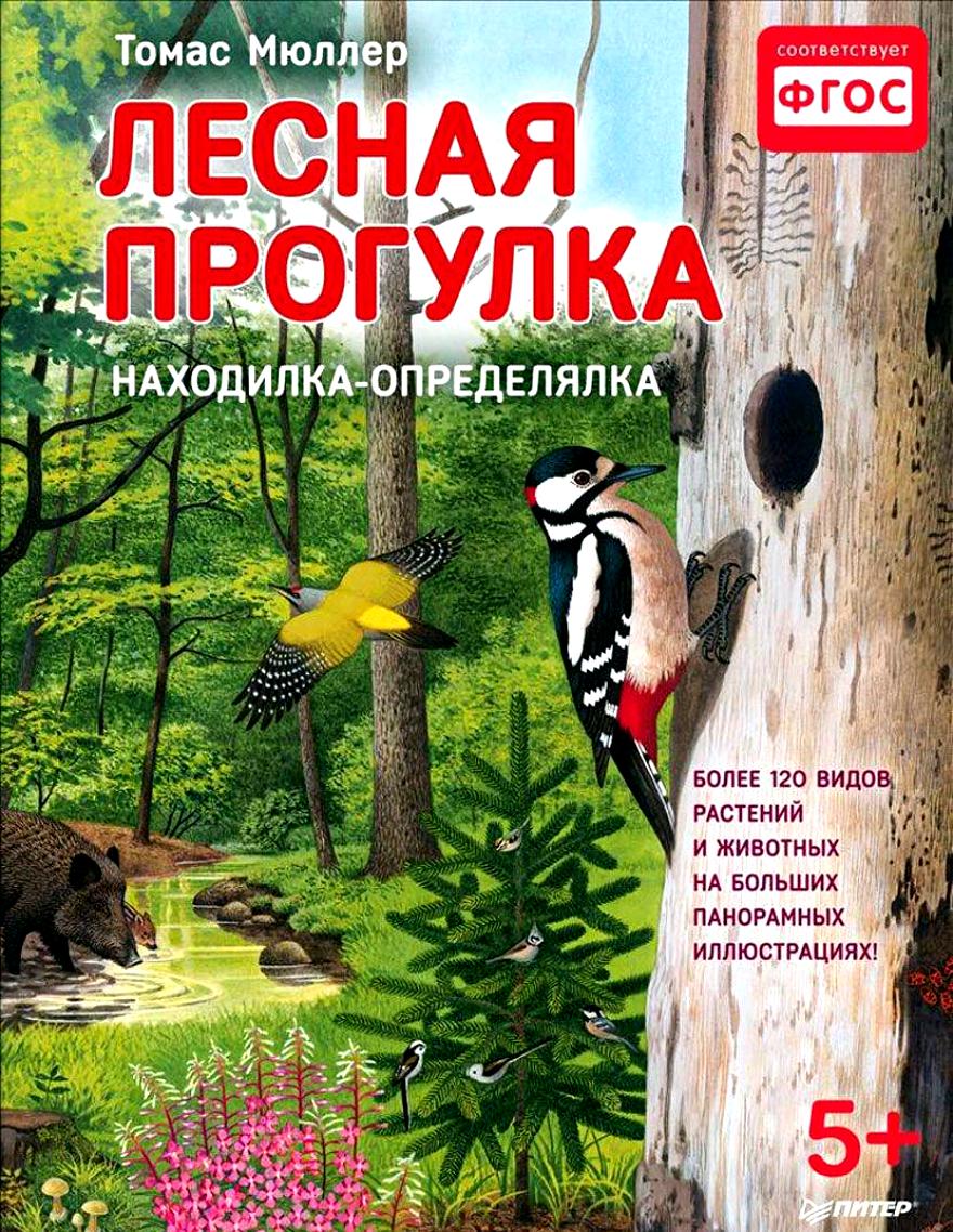 

Лесная прогулка. находилка-Определялка