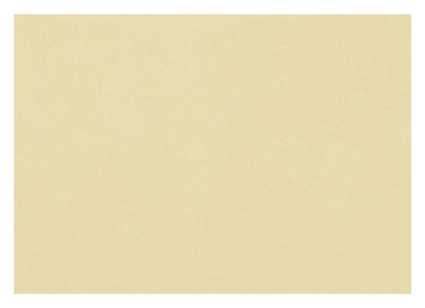 

Бумага для пастели Fabriano Tiziano №06 А2+ 500х650мм Песочный