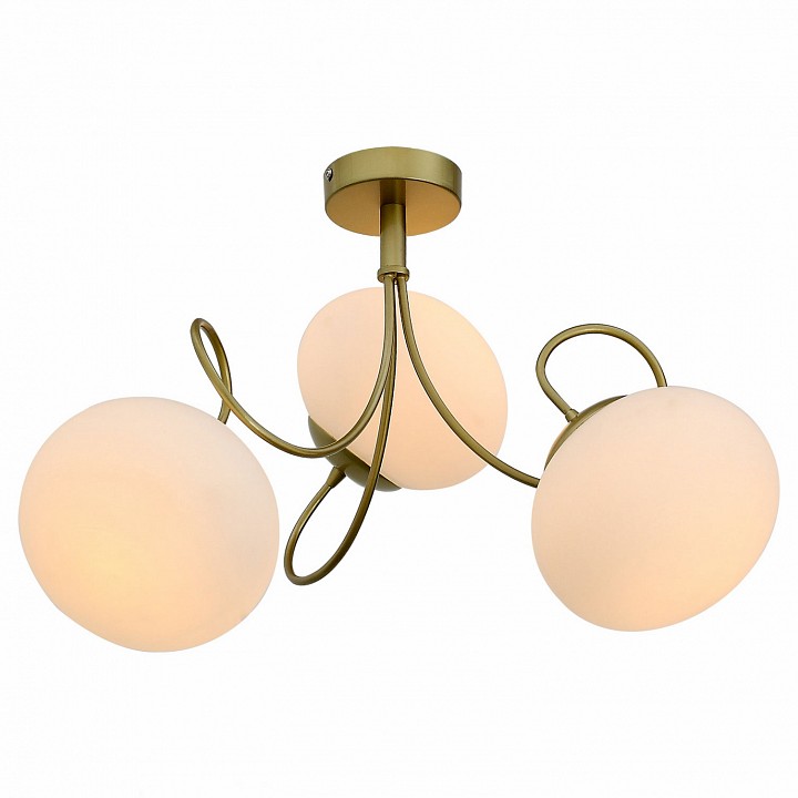 

Люстра потолочная ST Luce SL717.202.03
