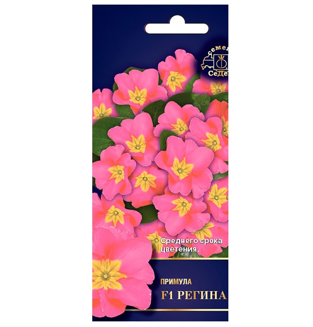 

Семена примула СеДеК Регина F1 218232 1 уп.
