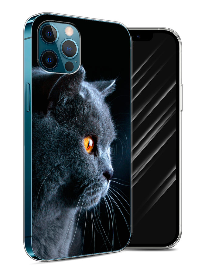 

Чехол Awog на Apple iPhone 12 / Айфон 12 "Благородный кот британец", Разноцветный, 12550-2