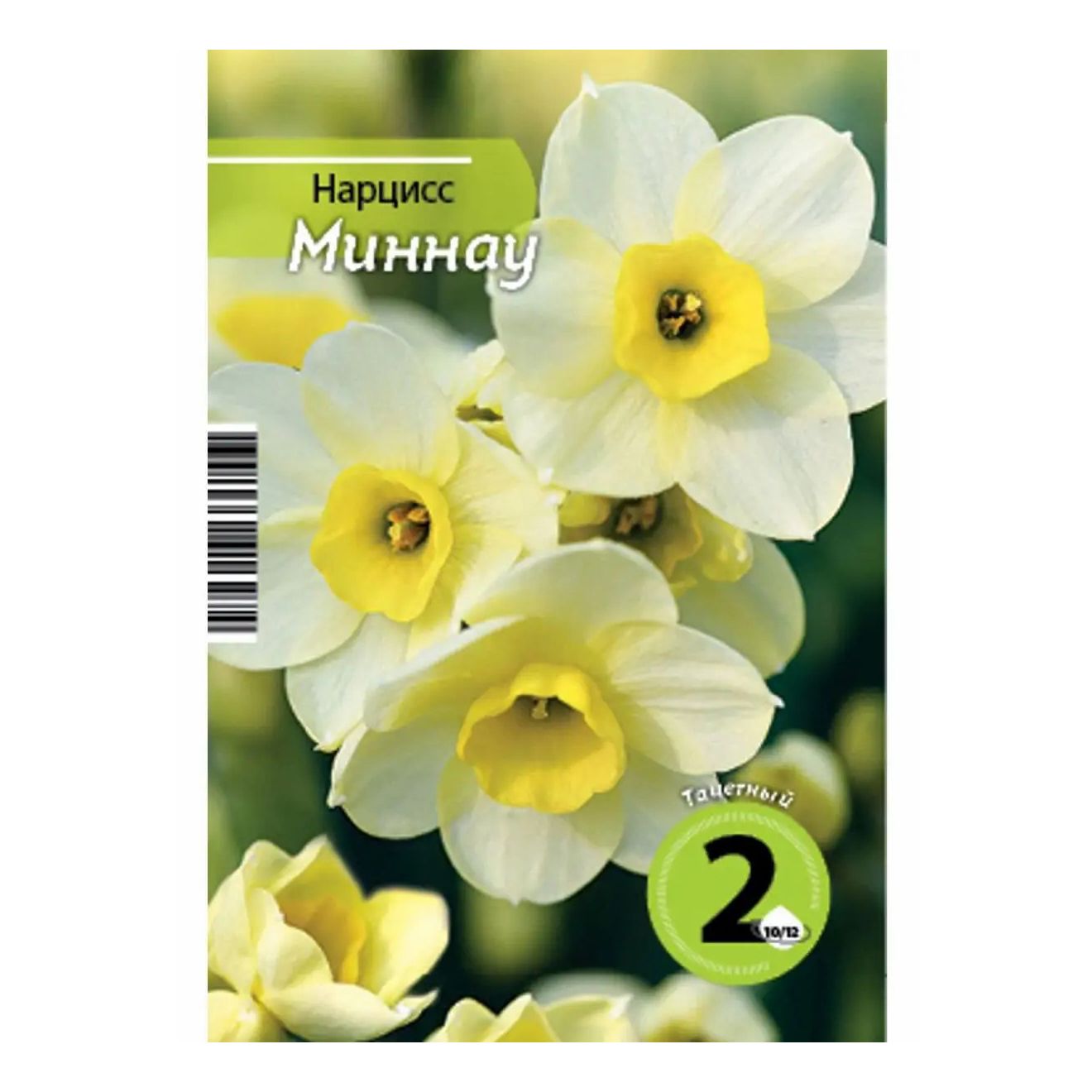 

Луковицы Нарцисс Миннау 2 шт