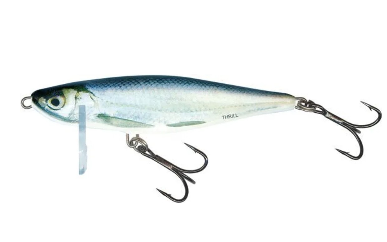 

Воблер тонущий Salmo Thrill 7 см цвет RBL, Серебристый, Thrill