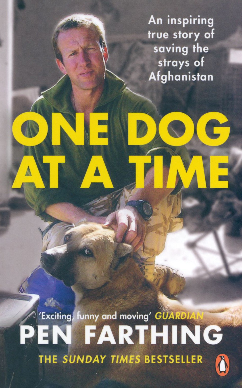 

One Dog at a Time An inspiring true story of saving the strays of Afghanistan