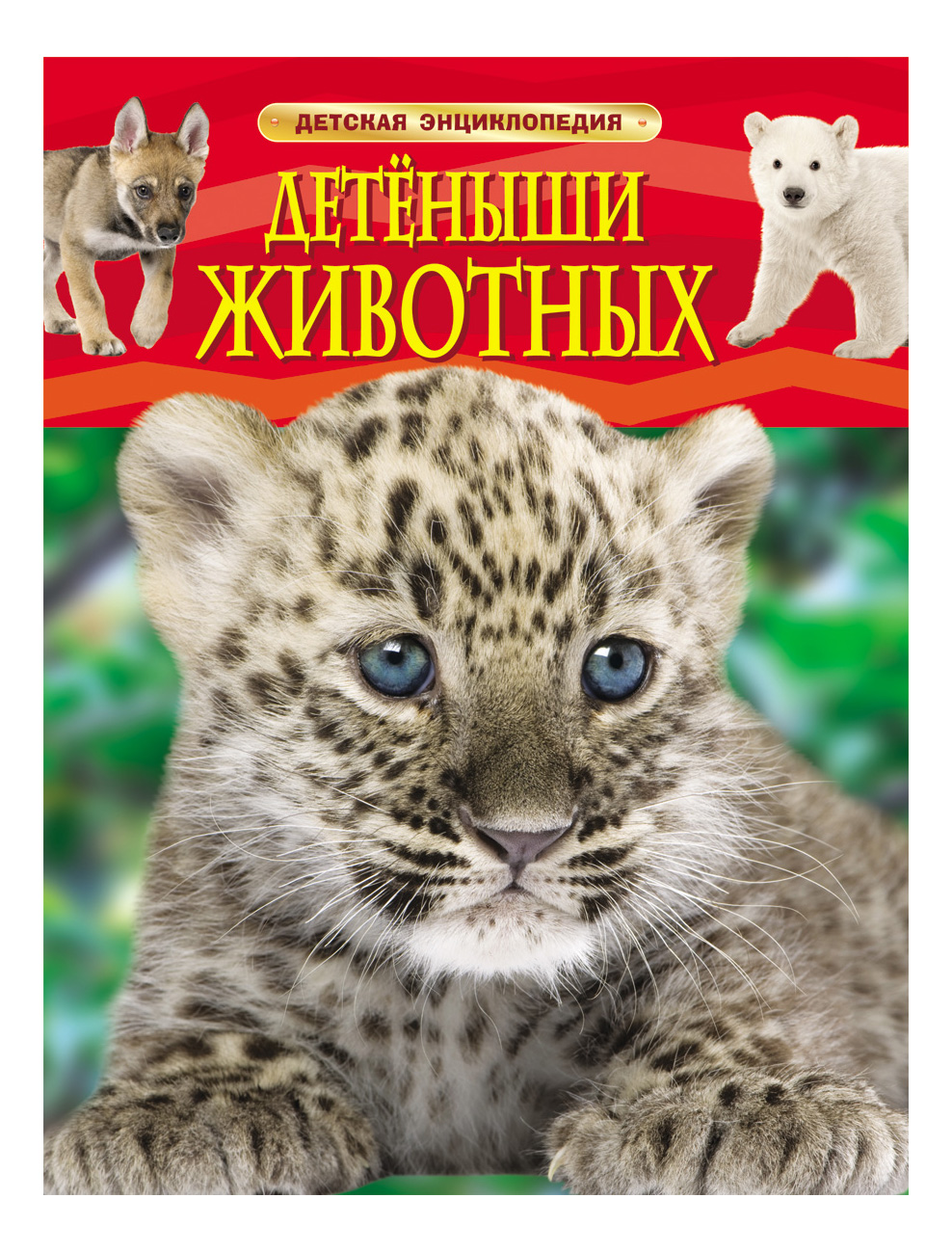 

Детеныши Животных, Детеныши животных