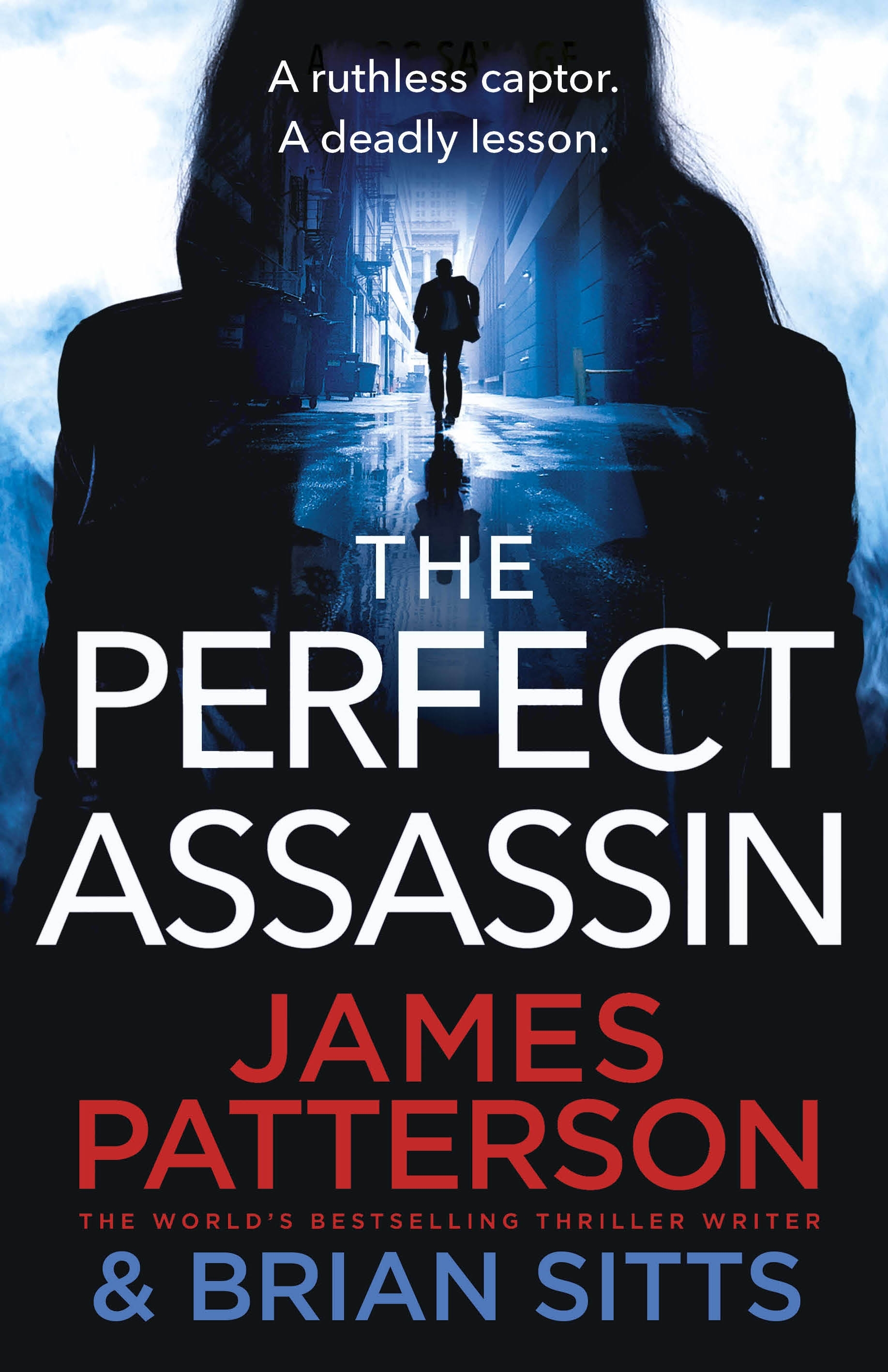

The Perfect Assassin