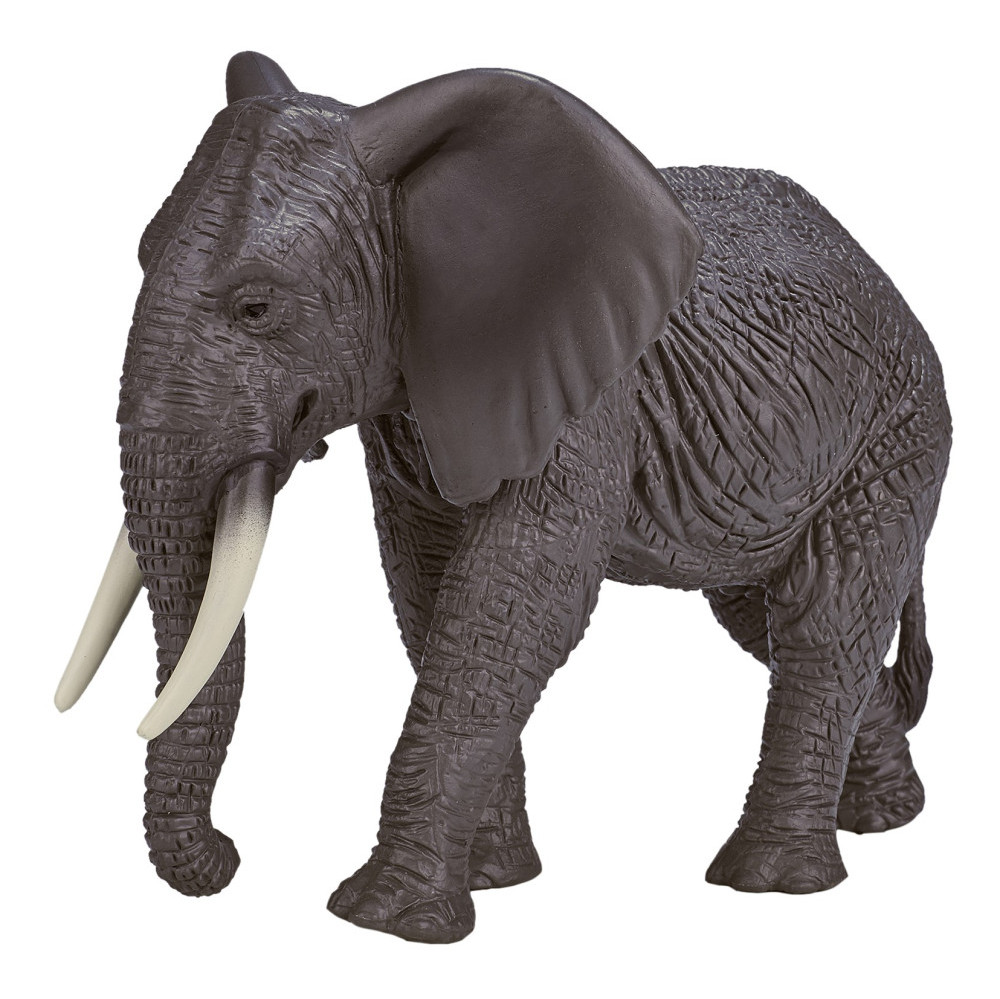 Фигурка KONIK Африканский слон, самка AMW2090 фигурка konik африканский слоненок малый amw2020