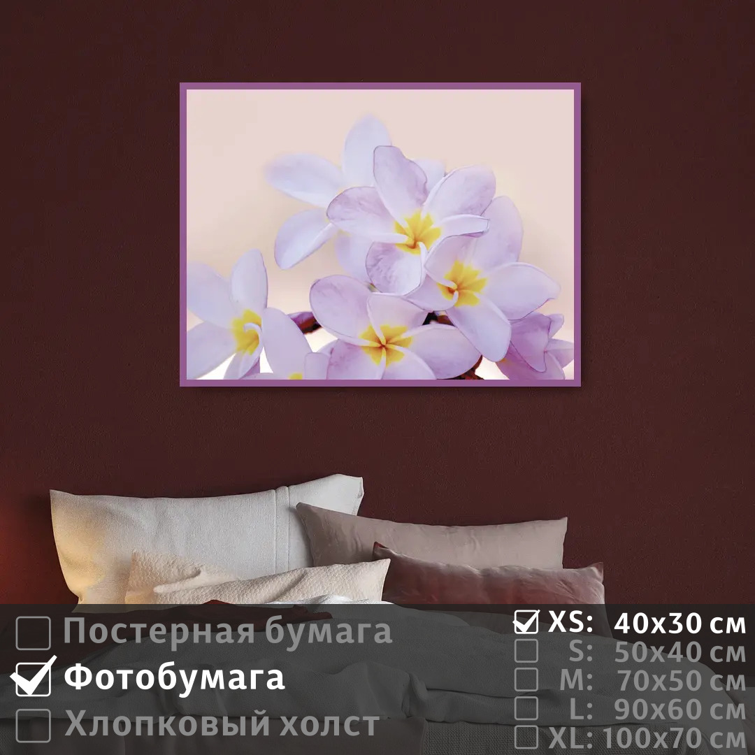 

Постер на фотобумаге ПолиЦентр Нежные тропические цветы 40х30 см, НежныеТропическиеЦветы