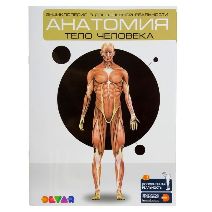 

Devar. Энциклопедия в дополненной реальности "Анатомия: тело человека" А4, мягкая обложка