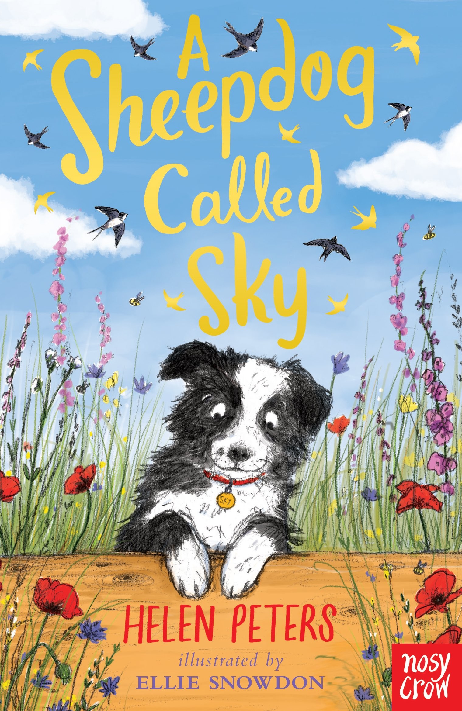 

A Sheepdog Called Sky