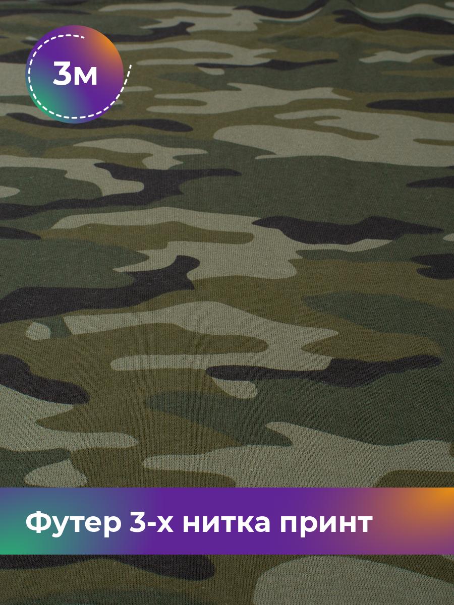 

Ткань Футер 3-х нитка принт с начёсом (ОЕ) Shilla, отрез 3 м * 185 см зеленый 3_22688.001, 18111039
