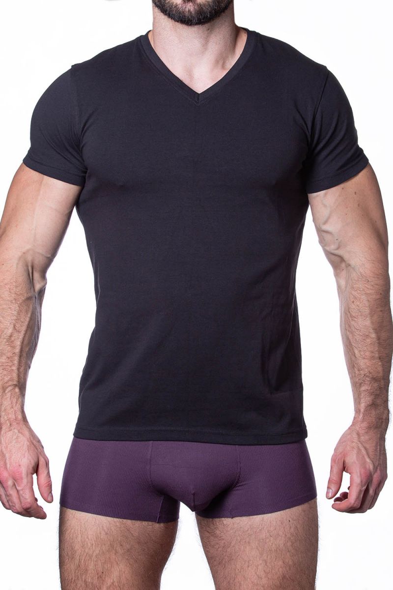 

Футболка мужская Sergio Dallini 751 черная XXL, Черный, 751