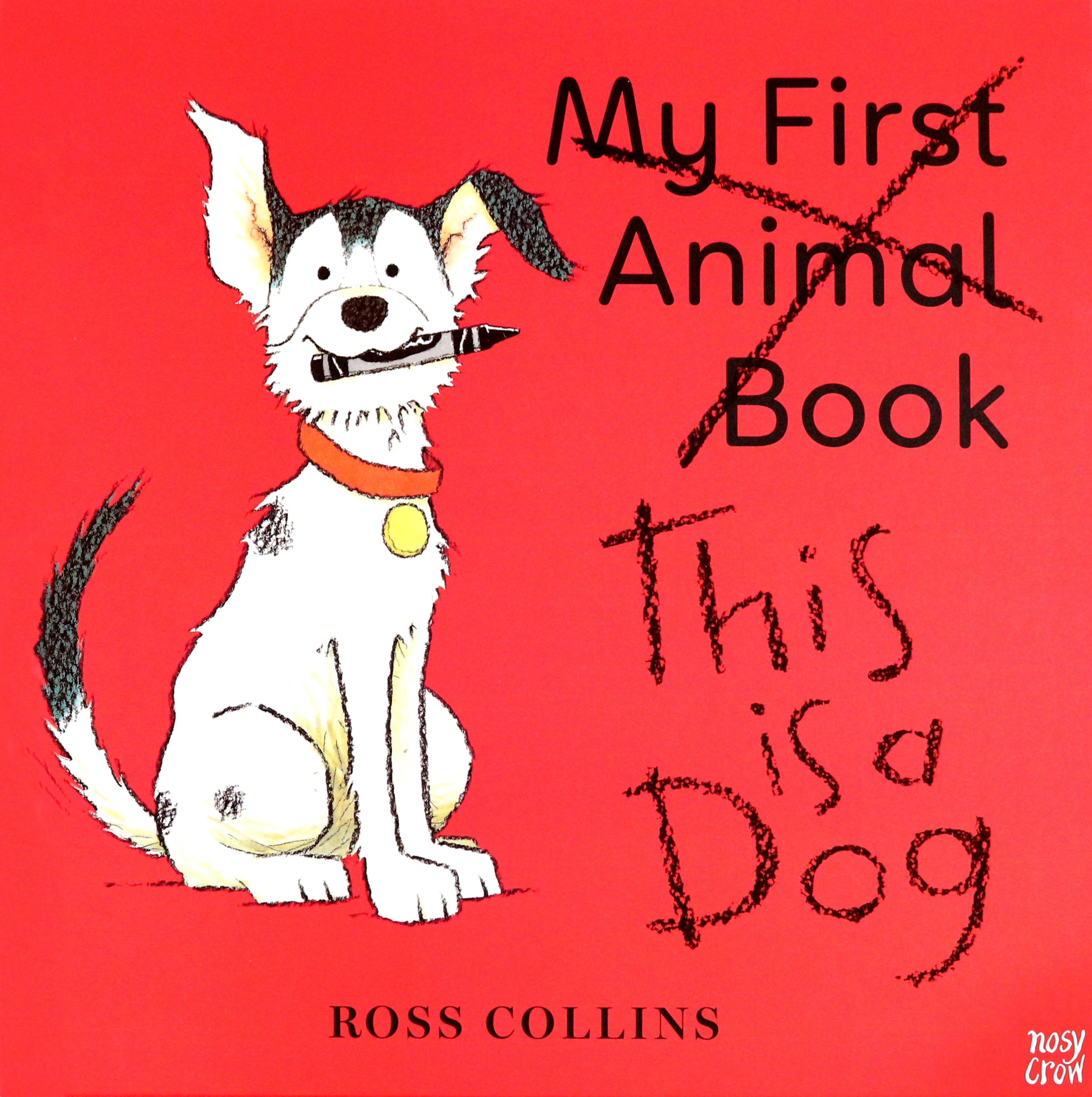 

This is a Dog