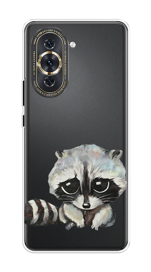 

Чехол на Huawei Nova 10 Pro "Большеглазый енот", Серый;черный;прозрачный, 6109050-1