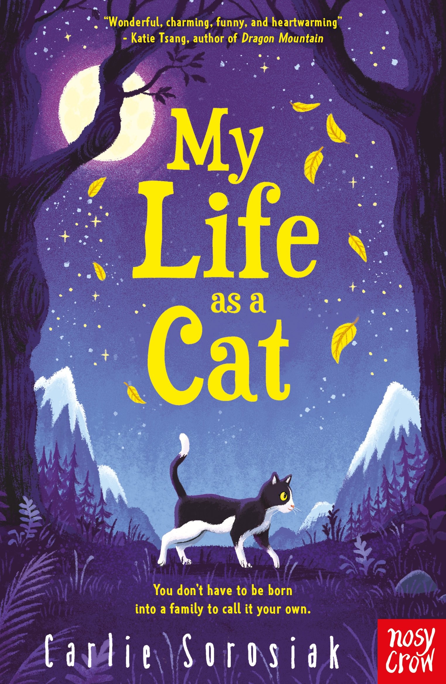 

My Life as a Cat