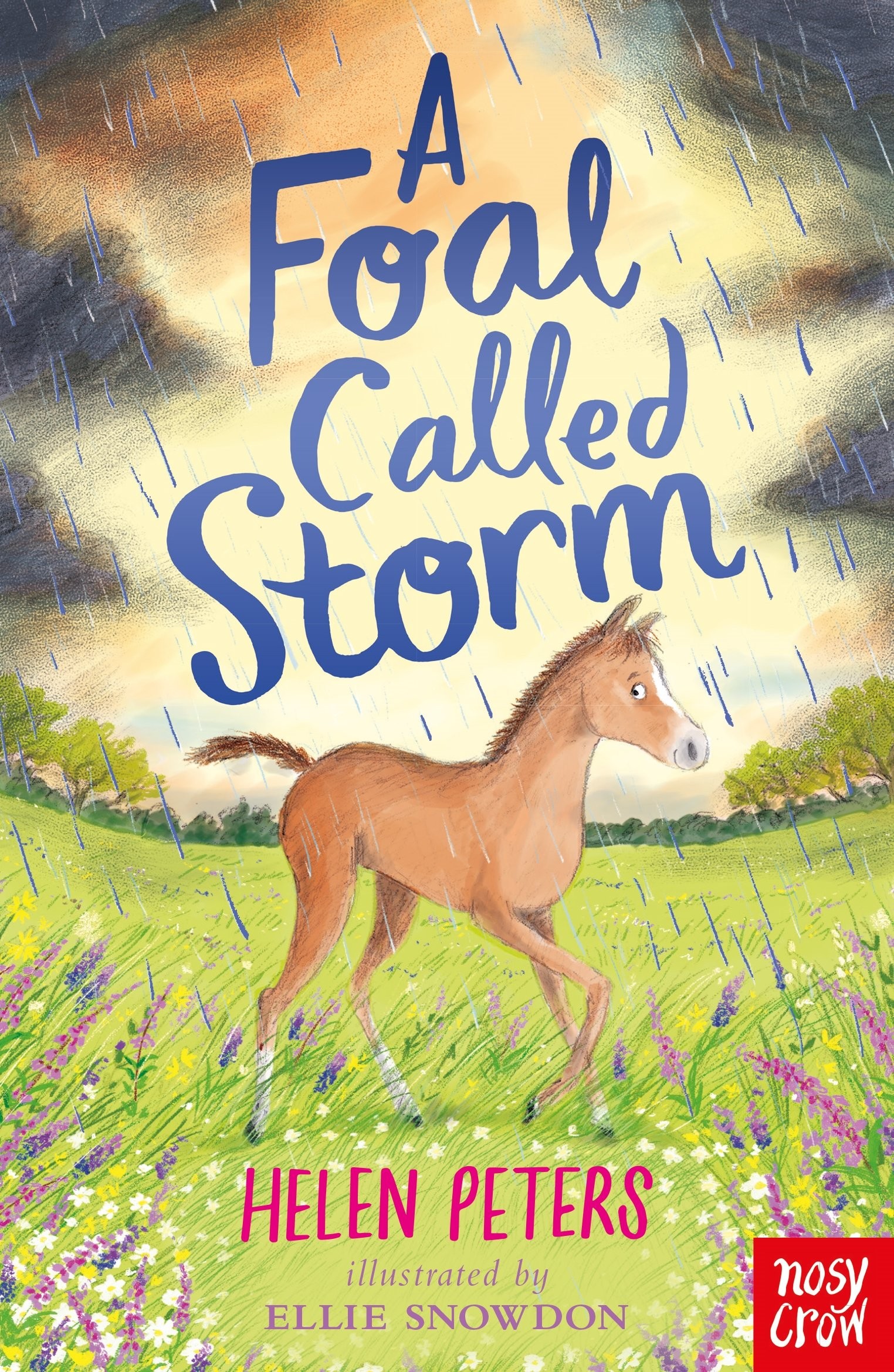 

A Foal Called Storm