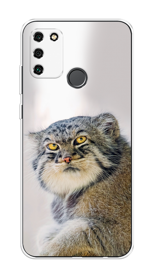 

Чехол на Honor 9A "Кот манул 1", Серый;белый;желтый, 612350-1
