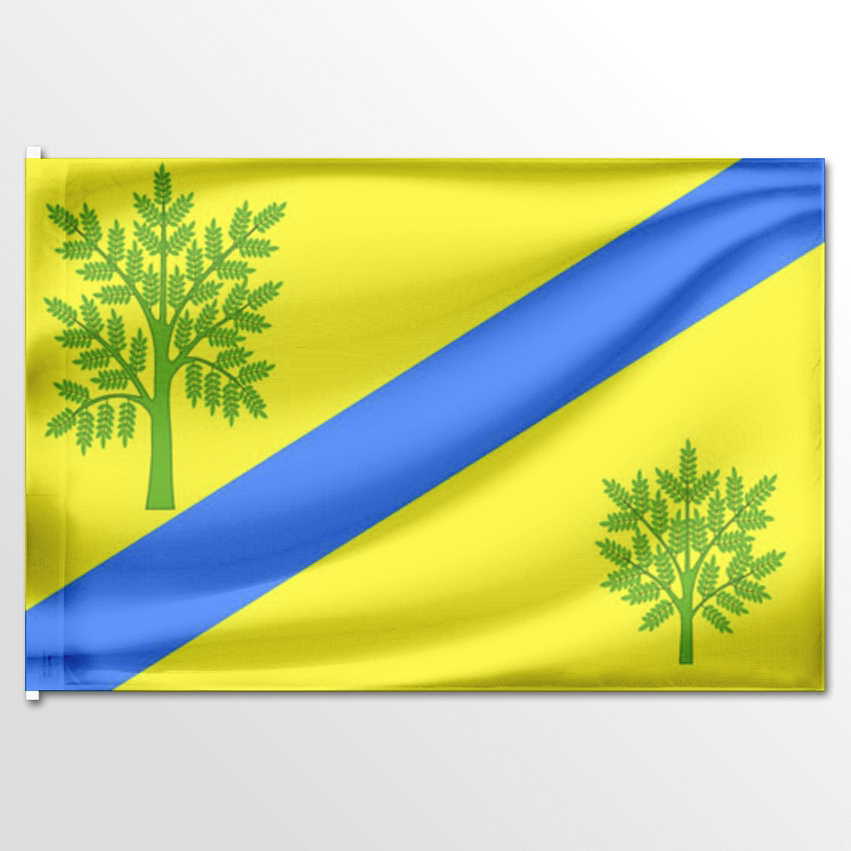 

Флаг ЦТП ФЕНИКС Новоясенского сельского поселения 135x90 см, 808-135x90