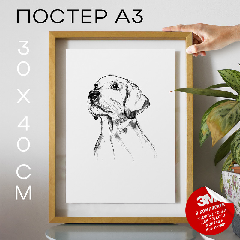 

Постер Собаки - Retriever Dog А3 DSPpp02965 30х40, рамка А3, DSPpp02965