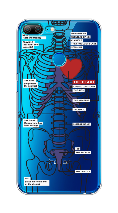 

Чехол на Honor 9 Lite "Скелет человека", Прозрачный;синий;красный, 64250-1