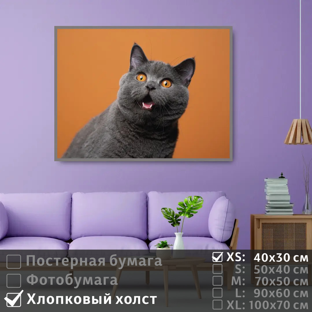

Постер на холсте ПолиЦентр Серый британский кот 40х30 см, СерыйБританскийКот