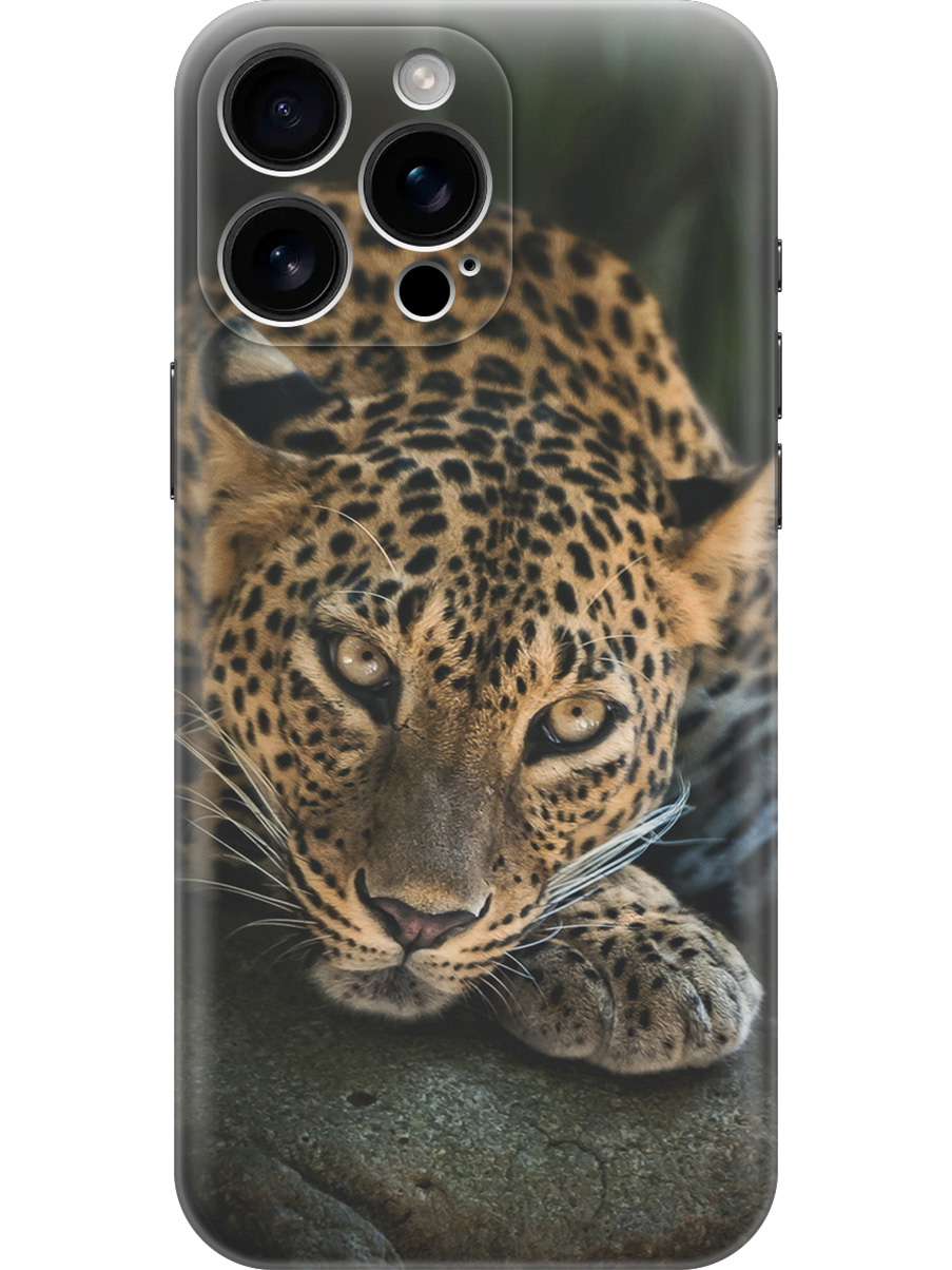 

Силиконовый чехол на Apple iPhone 16 Pro Max с принтом "Загадочный леопард", Прозрачный;черный;коричневый;оранжевый, 785198313