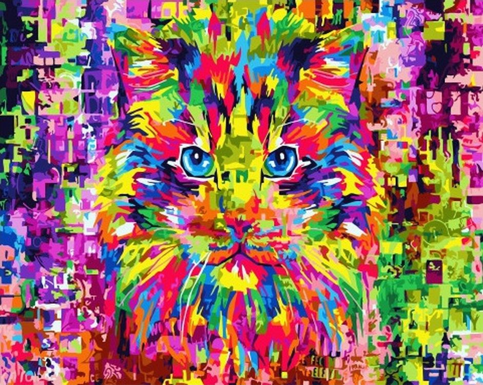 

Картина по номерам Paintboy (Premium) Цветной кот