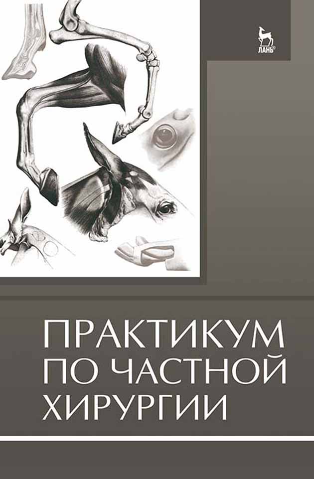 

Практикум по частной хирургии