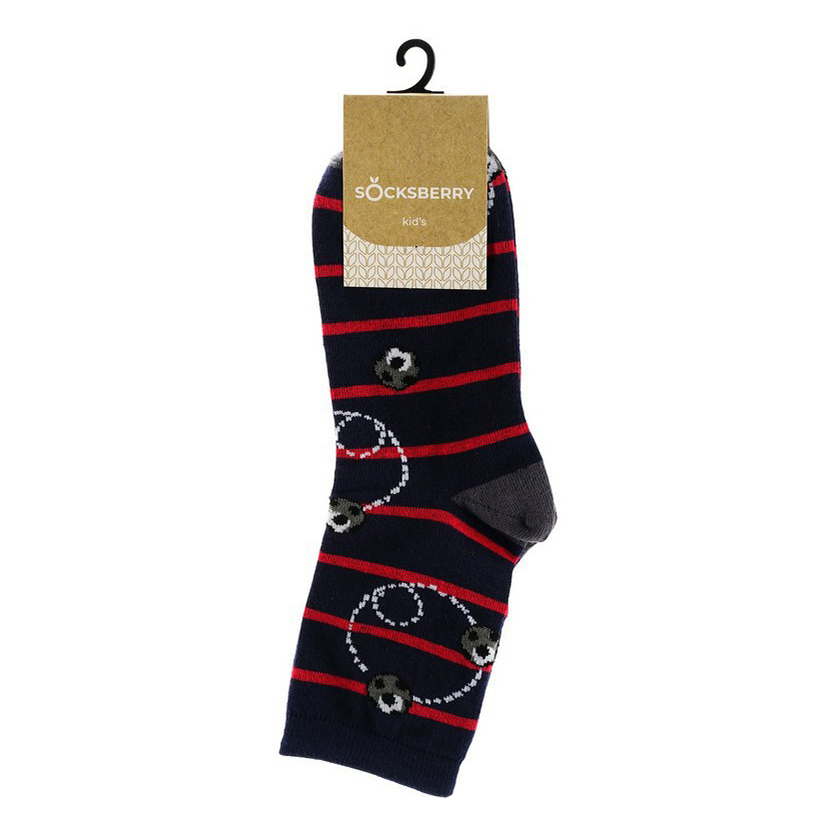 Носки детские Socksberry, черный, р. 22