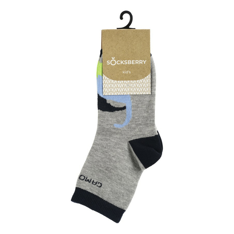 

Носки детские Socksberry, серый, р. 22