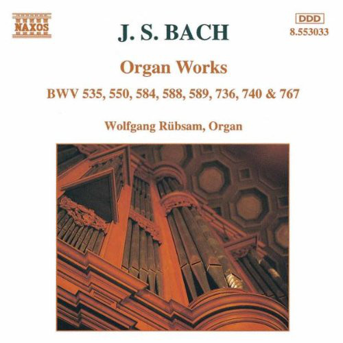 

J. S. Bach*. Wolfgang Rübsam - Organ Works Bwv 535. 550. 584. 589. 736. 740 & 767 (1 CD)