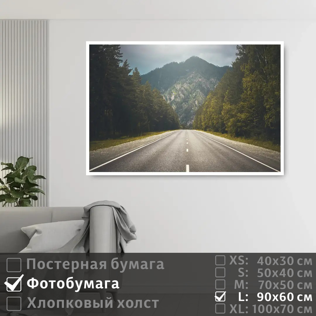 

Постер на фотобумаге ПолиЦентр Дальняя дорога в горы вдоль соснового леса 90х60 см, ДальняяДорогаВГорыВдольСосновогоЛеса
