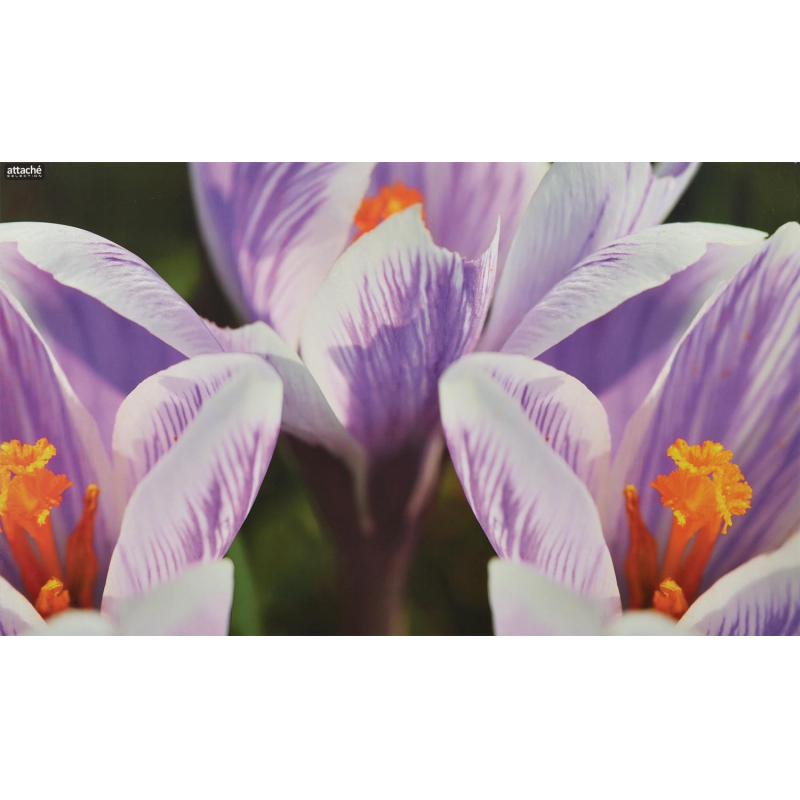 фото Коврик на стол attache selection 35x59см сrocus цветок, ламиниров картон