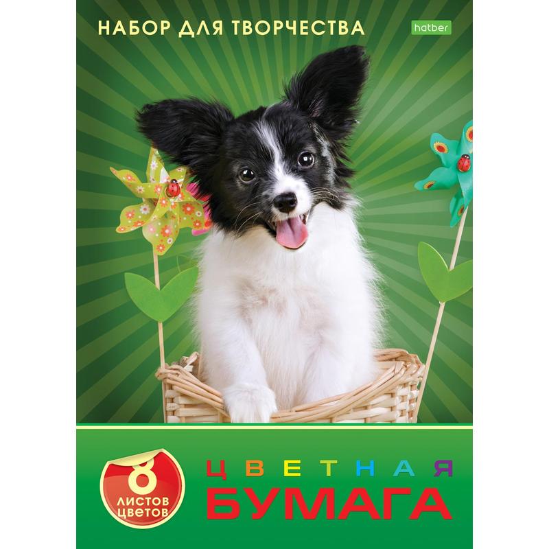 

Бумага цветная А4,8л.8цв.офсет,скрепка,обл.офсет ECO Любимец 060638