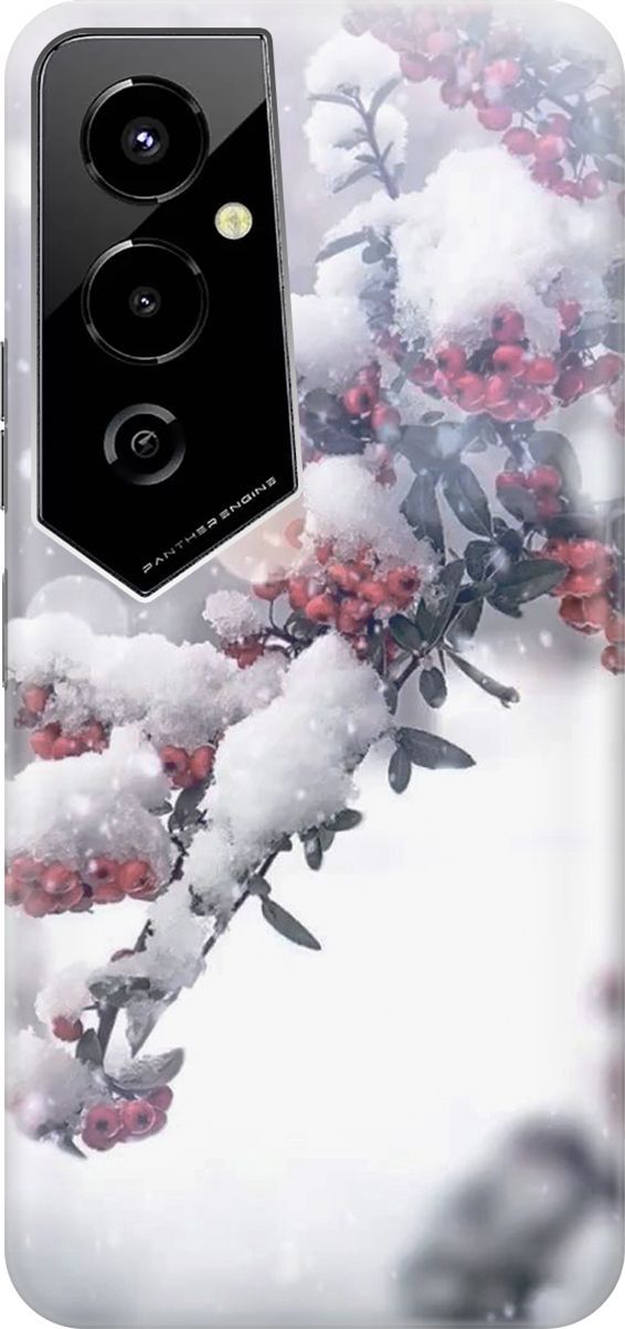 

Силиконовый чехол на Tecno Pova 4 Pro с принтом "Заснеженная рябина", Белый;серый, 158081