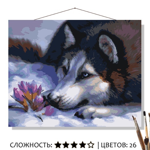 Картина по номерам Selfica Подснежники 50х40