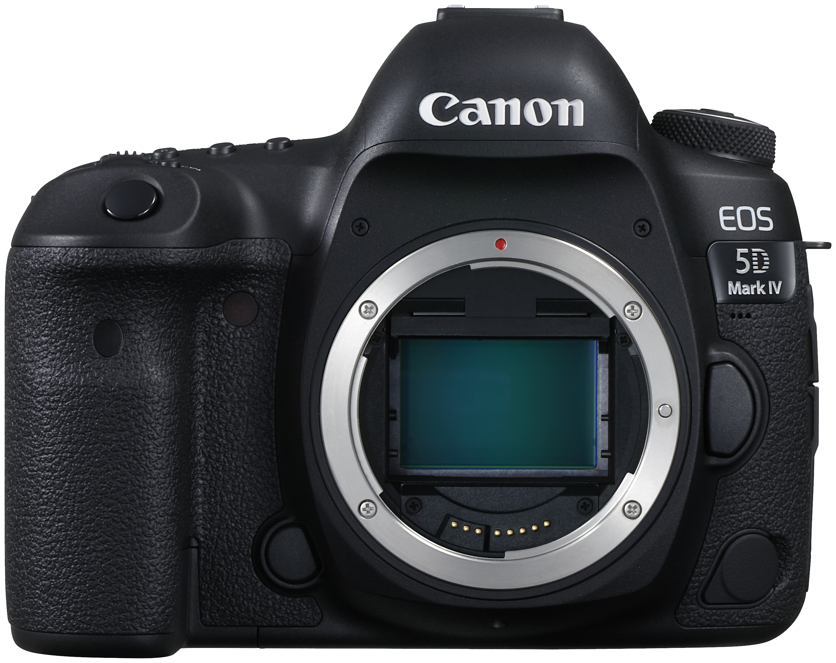 Canon eos 6d body цены. Canon EOS 6d Mark II. Canon EOS 6d Mark II body. Canon EOS 5d Mark 4. Canon EOS 450d body.