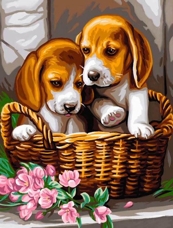 

Алмазная вышивка Алмазное Хобби Щенки в плетеной корзинке, 30x40 см, Щенки в плетеной корзинке