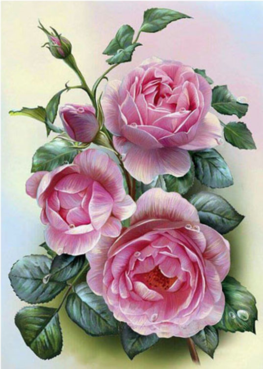 

Картина по номерам Molly Розовые розы, 20x30, Розовые розы